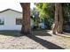 The backyard is lined by large trees and has a shed at 8436 Cameo St, Spring Hill, FL 34608