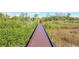 Scenic wooden walkway through lush greenery leading to waterfront at 4707 Troydale Rd, Tampa, FL 33615