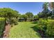 Lush green backyard with well-maintained lawn and trimmed shrubbery with space for activities and relaxation at 1311 Beach Ne Dr, St Petersburg, FL 33701