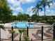 Outdoor community pool surrounded by lounge chairs, palm trees, and greenery at 18106 Peregrines Perch Pl # 5208, Lutz, FL 33558