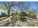 Shaded backyard featuring a variety of plants and lush greenery at 223 33Rd N Ave, St Petersburg, FL 33704