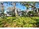 Charming home's front yard is lush with ferns and verdant foliage, creating a tranquil and inviting outdoor space at 223 33Rd N Ave, St Petersburg, FL 33704