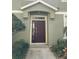 Elegant entryway with a dark brown door and side window framed by lush landscaping at 27901 Pleasure Ride Loop, Wesley Chapel, FL 33544