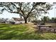 Expansive backyard with lush green lawn, mature trees, and outdoor seating area at 700 Lyndhurst St # 1024, Dunedin, FL 34698