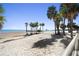 Sandy beach view with palm trees and ocean at 1200 N Shore Ne Dr # 110, St Petersburg, FL 33701