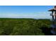 Beautiful view showing a vibrant green forest extending to the ocean, with condo balconies in the foreground at 12033 Gandy N Blvd # 175, St Petersburg, FL 33702