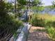 Pathway to dock offers serene water access surrounded by natural landscaping enhancing this lakeside property at 16921 Crawley Rd, Odessa, FL 33556