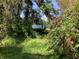 A lush landscape leads to a serene lake view with blooming flowers, offering tranquility and natural beauty at 16921 Crawley Rd, Odessa, FL 33556