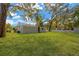 Expansive backyard featuring lush green grass and mature trees, perfect for outdoor activities at 1910 E Chelsea St, Tampa, FL 33610