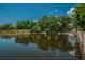 Scenic lake view surrounded by lush trees reflecting in the water under a bright blue sky at 4677 Aylesford Dr, Palm Harbor, FL 34685