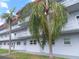 Three-story building with palm trees, balconies, and light blue paint at 5660 80Th N St # A205, St Petersburg, FL 33709
