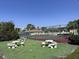 Community tennis court surrounded by mature trees and bushes for extra privacy at 8158 Eagles Park N Dr, St Petersburg, FL 33709