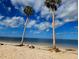 Beautiful beach scenery featuring serene ocean waters framed by tall palm trees and a clear sky with scattered clouds at 1500 Sunset Rd # F1, Tarpon Springs, FL 34689