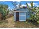 View of the backyard featuring a small blue outbuilding with a black door and surrounding green vegetation at 2145 8Th N Ave, St Petersburg, FL 33713