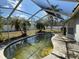 Screened-in pool with algae, surrounded by patio with lush backyard and a partial outdoor kitchen at 2218 Egret Walk Ct, New Port Richey, FL 34655