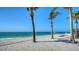 Relaxing beach scene with palm trees and a hammock, inviting you to unwind and enjoy the ocean breeze at 2411 And 2407 Casey Key Rd, Nokomis, FL 34275