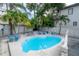 Sparkling blue pool surrounded by lush palm trees and ample patio seating at 2921 W El Prado Blvd, Tampa, FL 33629