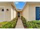 Inviting home entrance featuring a concrete walkway bordered by manicured bushes and a stylish front door at 5325 Sandy Shell Dr, Apollo Beach, FL 33572