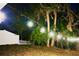 Backyard with trees, lawn and decorative lights at 809 30Th E Ct, Bradenton, FL 34208