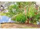 Lush backyard foliage bordering a white fence is highlighted by string lights at 809 30Th E Ct, Bradenton, FL 34208