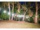 Backyard view with string lights, lush greenery, and a sense of peace and privacy at 809 30Th E Ct, Bradenton, FL 34208
