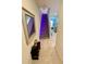 Staircase with a wooden floor and steps, lit with purple lights, leading to the upper level at 9208 Hillcroft Dr, Riverview, FL 33578
