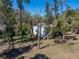 Outbuilding surrounded by trees in the backyard provides extra storage at 10925 Fort King Rd, Dade City, FL 33525