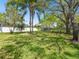 Lush backyard with mature trees, providing plenty of shade and privacy, perfect for relaxation and outdoor activities at 14310 Bellemont Pl, Tampa, FL 33624