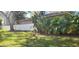 Well maintained back yard with privacy fence and tropical foliage at 1550 Chateau Wood Dr, Clearwater, FL 33764