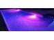 Captivating pool at night, illuminated with vibrant lights for a mesmerizing and inviting swimming experience at 1550 Chateau Wood Dr, Clearwater, FL 33764