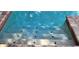Underwater pool steps trimmed with decorative tile accents at 1550 Chateau Wood Dr, Clearwater, FL 33764