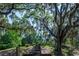 Lush landscape featuring mature trees, stairs and greenery at 1857 Castle Woods Dr, Clearwater, FL 33759