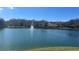 Beautiful lake view featuring a fountain surrounded by trees, offering a peaceful and scenic neighborhood amenity at 3017 Minuteman Ln, Brandon, FL 33511