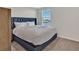 Cozy bedroom featuring a large bed with a blue headboard, complemented by carpeted floors and ample natural light at 5456 Logan Cave Ave, Wimauma, FL 33598