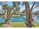 Lakeside home with mature trees, tranquil water view and lush landscaping at 15 Emerald Bay Dr, Oldsmar, FL 34677