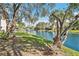 Scenic backyard view of a tranquil pond with mature trees and landscaping at 15 Emerald Bay Dr, Oldsmar, FL 34677