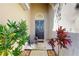 Welcoming front entrance featuring a decorative door, native plants, and inviting decor at 18822 Quarry Badger Rd, Land O Lakes, FL 34638