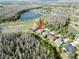 Aerial shot shows a beautiful lake view from the house, surrounded by lush greenery at 19238 Climbing Aster Dr, Tampa, FL 33647