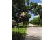 Street with mature trees and foliage in this stunning Dunedin community at 2166 Andrews Ct, Dunedin, FL 34698