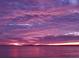 Stunning sunset over the water with pink and purple hues reflecting on the calm waters of the community at 2166 Andrews Ct, Dunedin, FL 34698