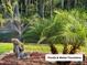 Pond with a fountain, statue, and lush trees at 2210 Vista Del Sol Cir # 519, Lutz, FL 33558