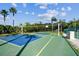 Outdoor Volleyball court and a basketball hoop, with a net, lined in blue and yellow, surrounded by lush greenery at 2301 Grenoble Pl # 1, Sun City Center, FL 33573