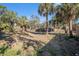 Large backyard with palm trees and wooden fence under a blue sky at 4029 13Th S Ave, St Petersburg, FL 33711