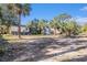 Backyard of home featuring tropical trees and weathered condition of home and land at 4029 13Th S Ave, St Petersburg, FL 33711