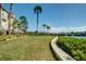 Lush backyard with manicured lawn and palm trees along the waterfront, providing a tranquil outdoor space at 4339 Spinnaker Cove Ln, Tampa, FL 33615