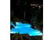 Night view of the large community pool surrounded by tropical landscaping, perfect for relaxation at 1026 Bellasol Way # 4403, Apollo Beach, FL 33572