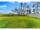 Green backyard with a newly planted tree and a white fence overlooking a nature preserve at 1454 Tahitian Sunrise Dr, Plant City, FL 33565