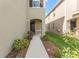 View of the front door of the home and walkway; simple, clean, and neat landscaping at 16549 Secret Meadow Dr, Odessa, FL 33556