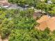 An elevated aerial view of the neighborhood showing rooftops surrounded by mature trees and landscaping at 3616 Cypress Meadows Rd, Tampa, FL 33624