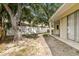 Lush backyard featuring mature trees and space for outdoor enjoyment, and play at 3616 Cypress Meadows Rd, Tampa, FL 33624